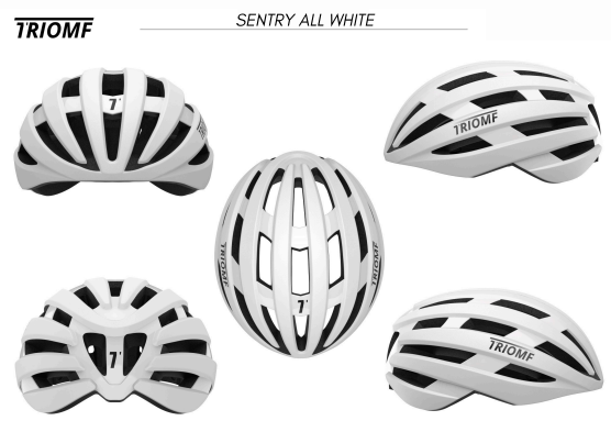 TRIOMF SENTRY