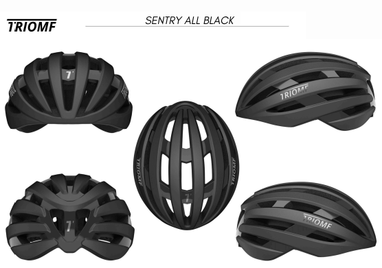 TRIOMF SENTRY