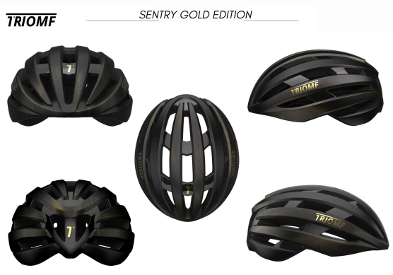 TRIOMF SENTRY