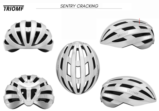 TRIOMF SENTRY