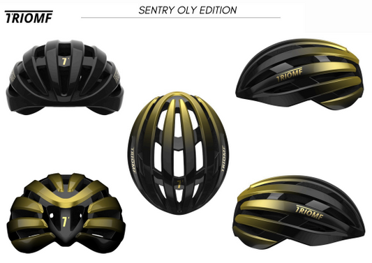 TRIOMF SENTRY