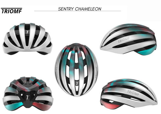 TRIOMF SENTRY